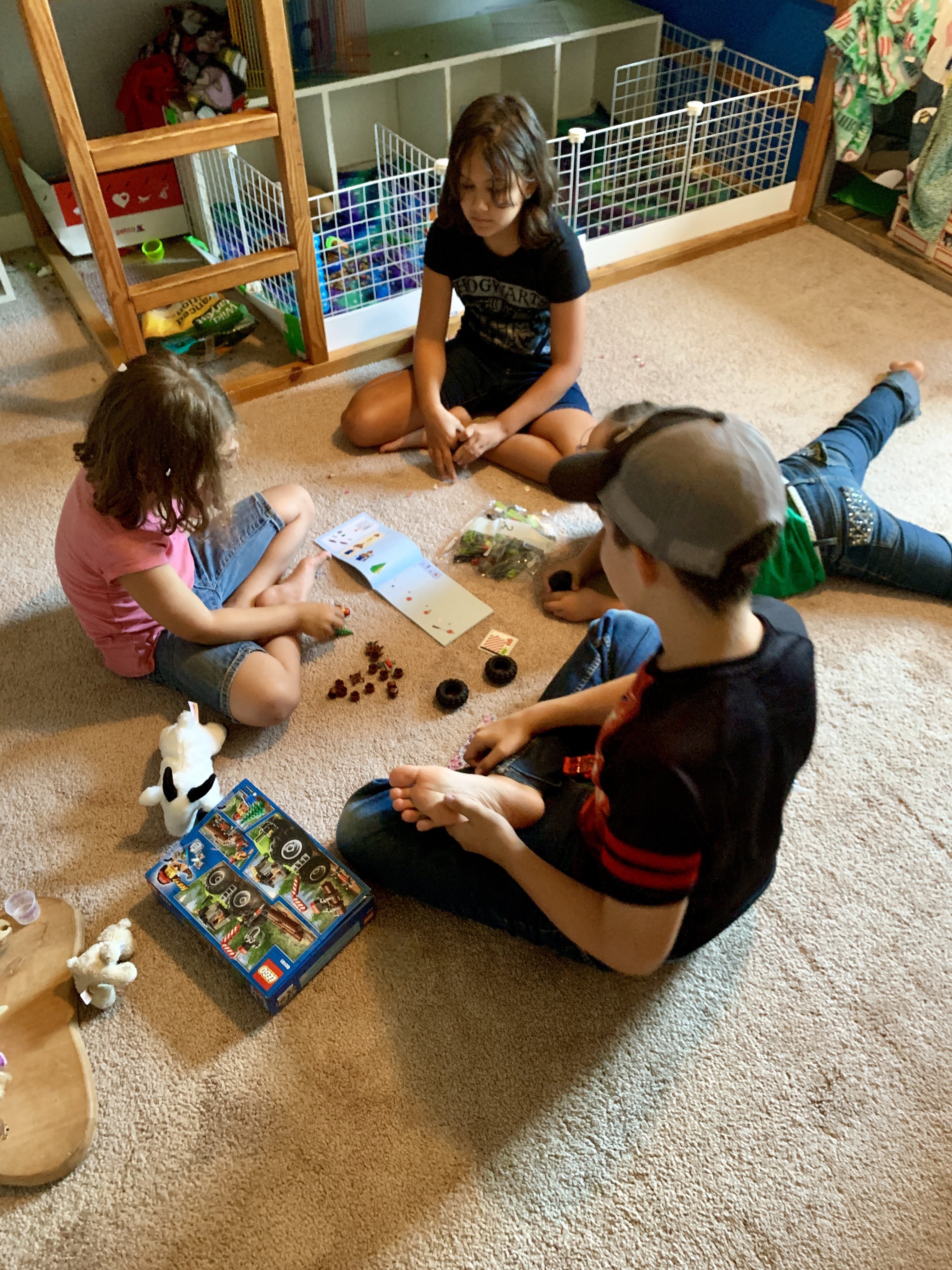 6th Birthday Party